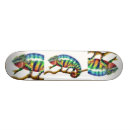 Search for chameleon skateboards Nature