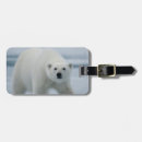 Search for carnivorous accessories Adult
