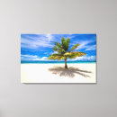 Recherche de plage blanche de sable Palmier