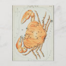 Recherche de illustration de crabe cartes postales Zodiaque