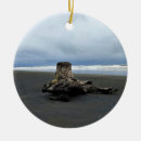 Search for driftwood ornaments Ocean