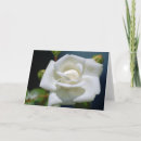 Search for single note cards Rose