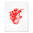 Search for anatomical heart art Doctor