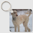 Search for standard poodles keychains Pet
