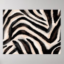 Recherche de peau de zèbre posters Animal