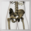 Recherche de colonne vertebrale art Parties du corps humain