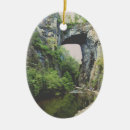 Recherche de pont naturel Virginie