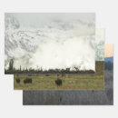 Search for elk gift wrap Mountains