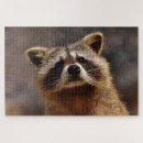 Recherche de raccoon puzzles Racoon