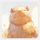 Recherche de paisible autocollants Capybara mignon