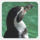 Search for humboldt stickers Animal