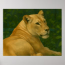 Recherche de lion sauvage posters Gros chat