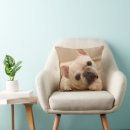 Search for french bulldog puppy pillows Young animal