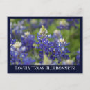 Search for texans postcards Blue