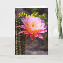 Search for desert flora cards Floral