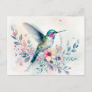 Recherche de colibris cartes postales De colibri