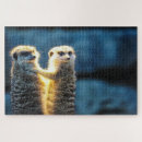 Recherche de suricate posters Sauvage