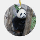 Recherche de panda ornements Adorable