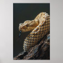 Recherche de remarquable posters Photographie