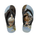 Search for duck with sandals Bird