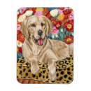 Search for golden retriever magnets Puppy