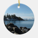 Search for sierra ornaments Snow