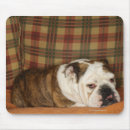 Search for home interior mousepads Sofa