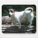 Recherche de taille standard électronique Chiot