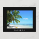 Recherche de palmiers noirs et blancs cartes postales Plage