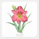 Search for perennial gift wrap Floral