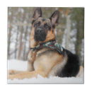 Search for german shepherd tiles Animal