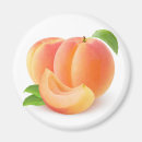 Search for apricot magnets Fruit