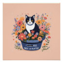 Search for inspirational cat posters Funny