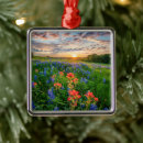 Search for texas bluebonnet ornaments Rural scene