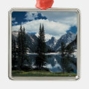 Search for evergreen ornaments Usa
