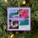Search for oahu ornaments Hibiscus