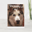 Search for husky cards funny