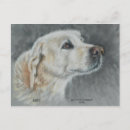 Search for dog friend postcards Golden