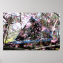 Search for shingles posters Rustic