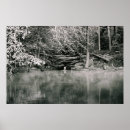 Recherche de foret noire posters Lac