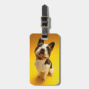 Recherche de bouledogue français bagages étiquettes Chien