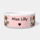 Search for classy pet supplies Trendy