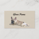 Recherche de bouledogue cartes visite Animaux