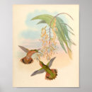 Recherche de vintage bird art Flowers