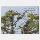 Search for nesting magnets Trees