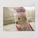 Recherche de lit cartes postales Dog