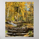 Search for quak posters Forest