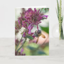 Recherche de insecte mignon vœux cartes Fleur