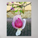 Search for brick wall posters Pink