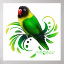 Search for lovebird posters Green